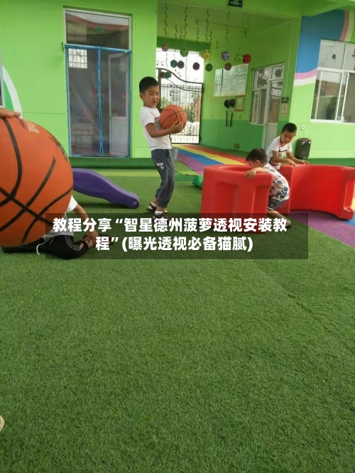 教程分享“智星德州菠萝透视安装教程”(曝光透视必备猫腻)