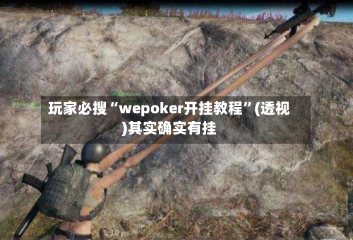 玩家必搜“wepoker开挂教程”(透视)其实确实有挂-第1张图片