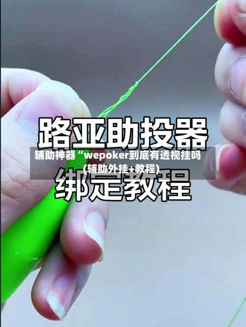 辅助神器“wepoker到底有透视挂吗(辅助外挂+教程)-第2张图片