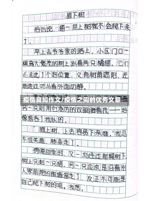 疫情良知作文/疫情之间的优秀文章-第1张图片