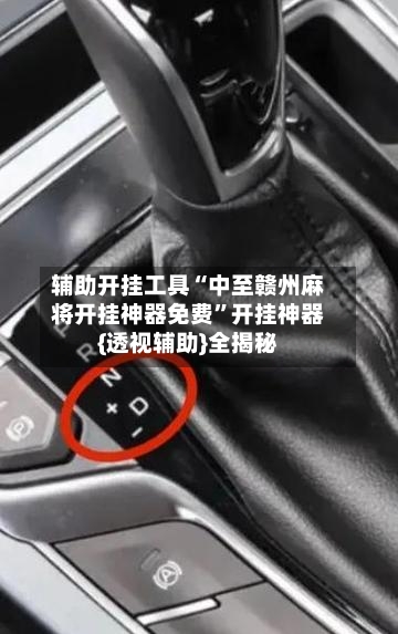 辅助开挂工具“中至赣州麻将开挂神器免费	”开挂神器{透视辅助}全揭秘-第1张图片
