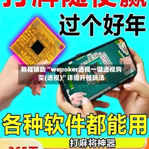 教程辅助“wepoker透视一键透视购买(透视)”详细开挂玩法-第2张图片