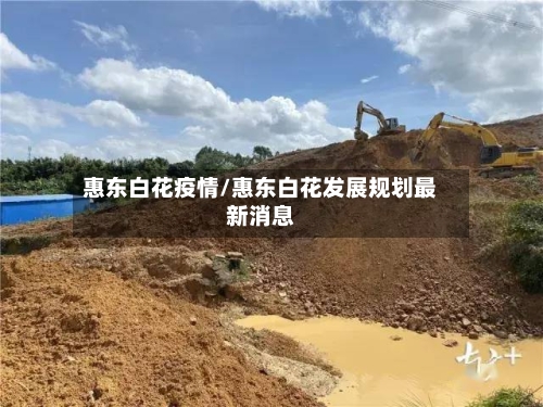 惠东白花疫情/惠东白花发展规划最新消息-第1张图片