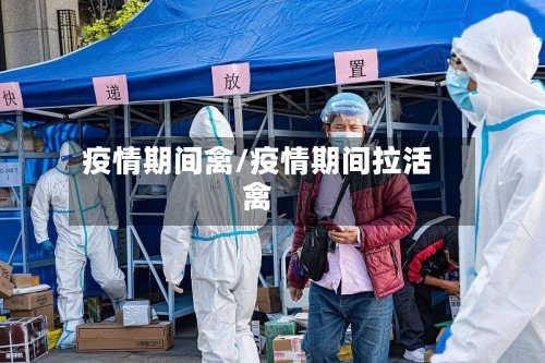 疫情期间禽/疫情期间拉活禽-第3张图片