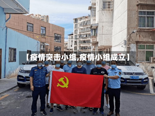 【疫情突击小组,疫情小组成立】-第1张图片