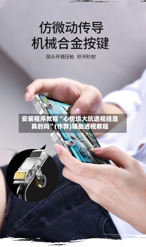 安装程序教程“心悦填大坑透视挂是真的吗”(作弊)辅助透视教程-第2张图片
