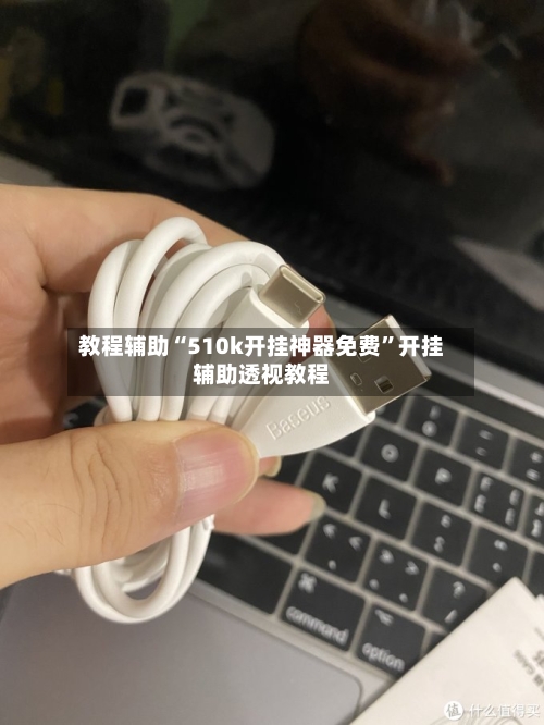 教程辅助“510k开挂神器免费”开挂辅助透视教程-第2张图片
