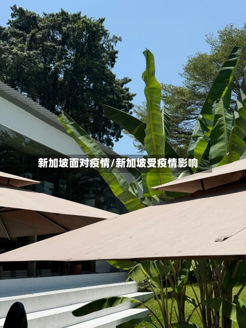 新加坡面对疫情/新加坡受疫情影响-第1张图片