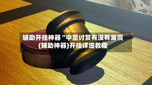 辅助开挂神器“中至讨赏有没有漏洞(辅助神器)开挂详细教程-第1张图片