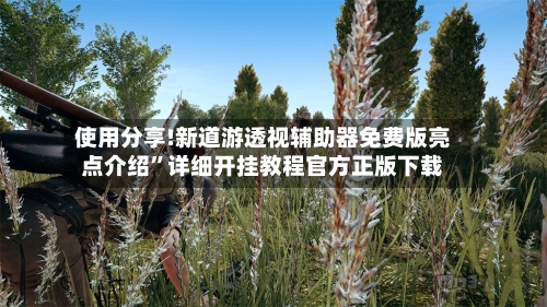 使用分享!新道游透视辅助器免费版亮点介绍”详细开挂教程官方正版下载-第1张图片