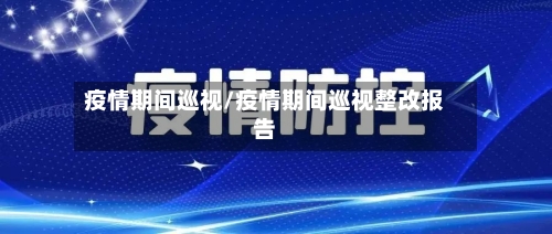 疫情期间巡视/疫情期间巡视整改报告