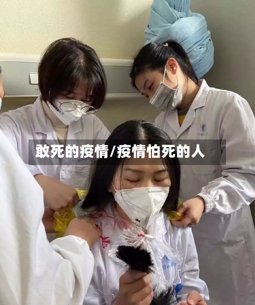 敢死的疫情/疫情怕死的人