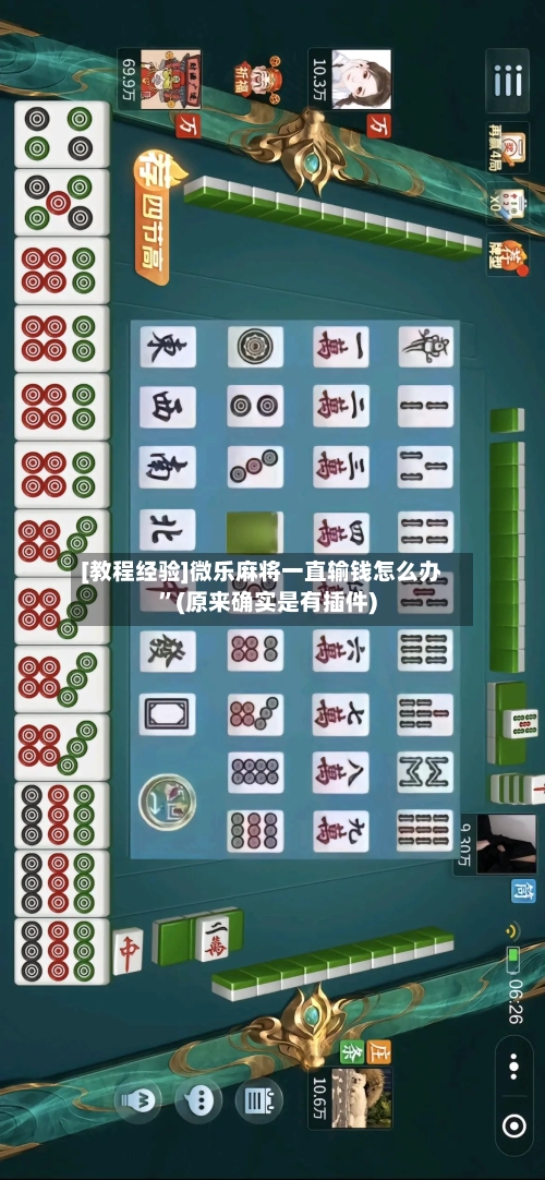 [教程经验]微乐麻将一直输钱怎么办”(原来确实是有插件)-第1张图片
