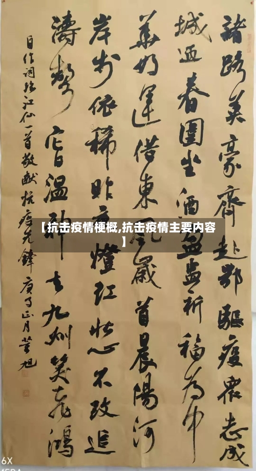 【抗击疫情梗概,抗击疫情主要内容】-第1张图片