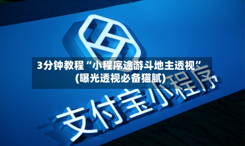 3分钟教程“小程序途游斗地主透视	”(曝光透视必备猫腻)-第1张图片