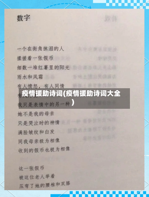 疫情援助诗词(疫情援助诗词大全)