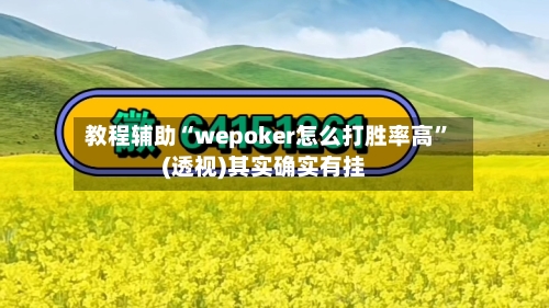 教程辅助“wepoker怎么打胜率高”(透视)其实确实有挂