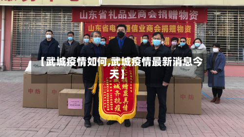 【武城疫情如何,武城疫情最新消息今天】-第1张图片