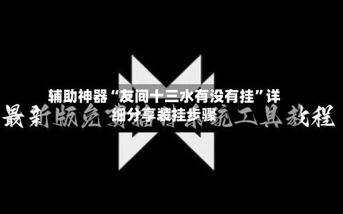 辅助神器“友间十三水有没有挂	”详细分享装挂步骤-第2张图片