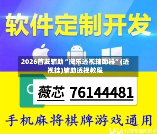 2026首发辅助“微乐透视辅助器”(透视挂)辅助透视教程