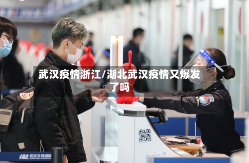 武汉疫情浙江/湖北武汉疫情又爆发了吗