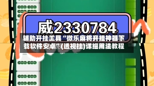 辅助开挂工具“微乐麻将开挂神器下载软件安卓”(透视挂)详细用法教程