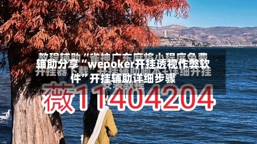 辅助分享“wepoker开挂透视作弊软件”开挂辅助详细步骤