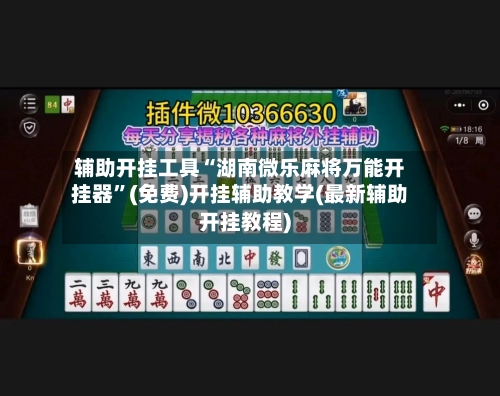 辅助开挂工具“湖南微乐麻将万能开挂器”(免费)开挂辅助教学(最新辅助开挂教程)