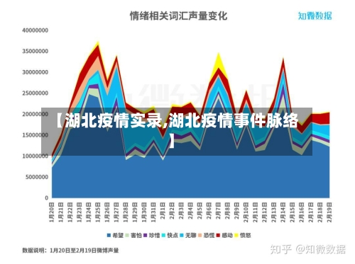 【湖北疫情实录,湖北疫情事件脉络】