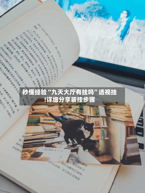 秒懂经验“九天大厅有挂吗”透视挂!详细分享装挂步骤