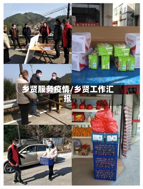 乡贤服务疫情/乡贤工作汇报