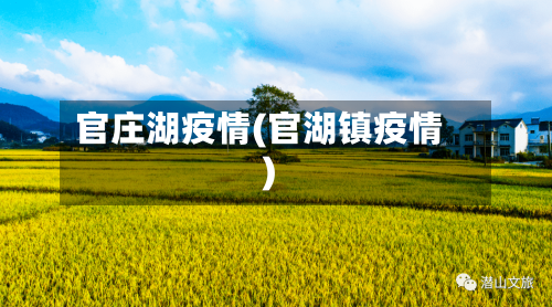 官庄湖疫情(官湖镇疫情)
