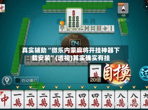 真实辅助“微乐内蒙麻将开挂神器下载安装”(透视)其实确实有挂-第2张图片