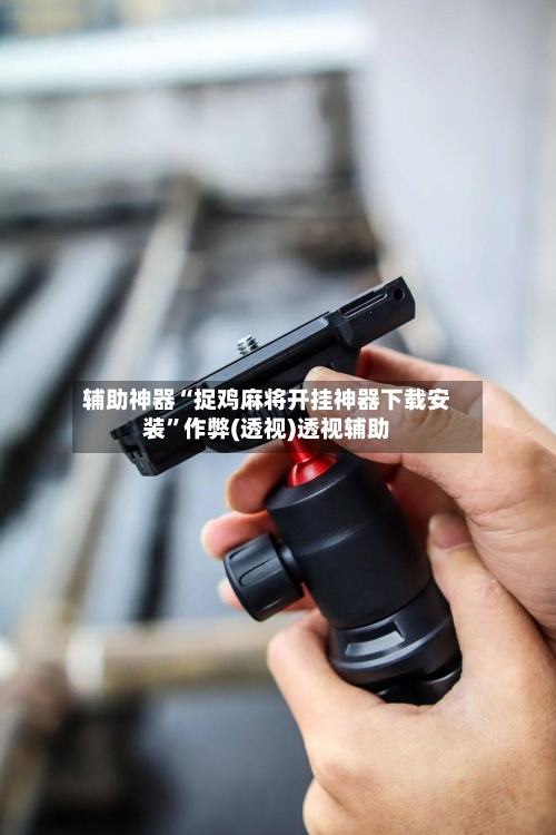 辅助神器“捉鸡麻将开挂神器下载安装”作弊(透视)透视辅助