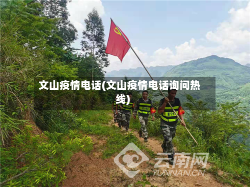 文山疫情电话(文山疫情电话询问热线)-第1张图片