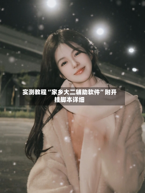 实测教程“家乡大二辅助软件	”附开挂脚本详细-第1张图片