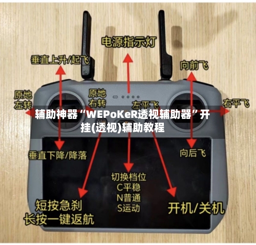 辅助神器“WEPoKeR透视辅助器	”开挂(透视)辅助教程-第1张图片