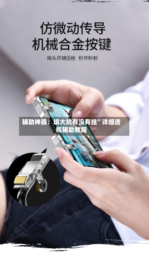 辅助神器：填大坑有没有挂	”详细透视辅助教程-第1张图片