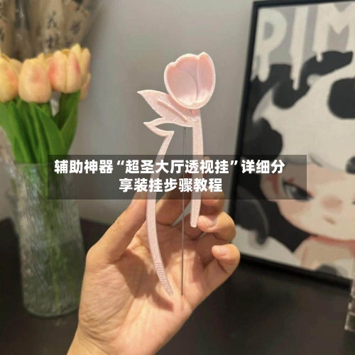 辅助神器“超圣大厅透视挂”详细分享装挂步骤教程