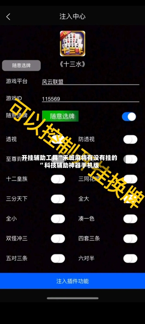 开挂辅助工具“禾城麻将有没有挂的”科技辅助神器手机版
