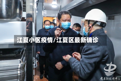 江夏小区疫情/江夏区最新确诊