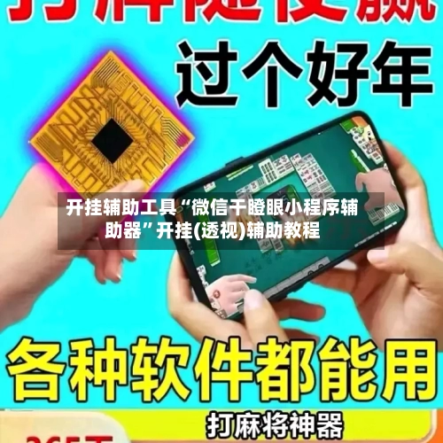 开挂辅助工具“微信干瞪眼小程序辅助器”开挂(透视)辅助教程-第2张图片
