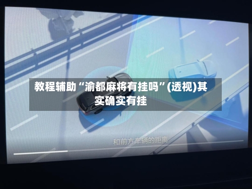 教程辅助“渝都麻将有挂吗”(透视)其实确实有挂-第2张图片