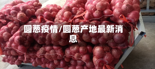 圆葱疫情/圆葱产地最新消息