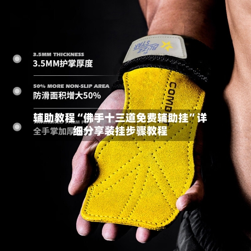 辅助教程“佛手十三道免费辅助挂”详细分享装挂步骤教程
