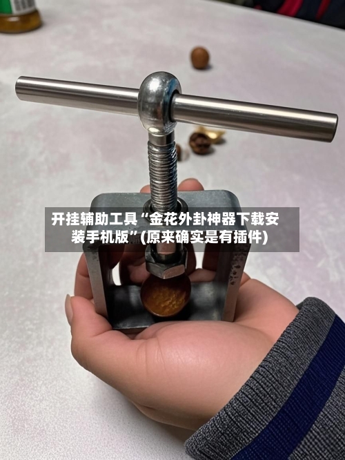 开挂辅助工具“金花外卦神器下载安装手机版”(原来确实是有插件)