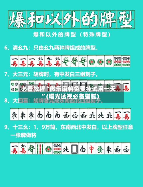 必看教程“微乐麻将免费挂试用一天”(曝光透视必备猫腻)-第2张图片