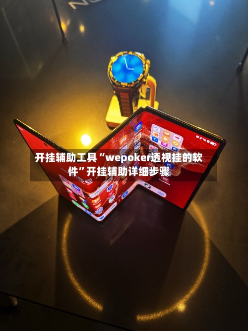 开挂辅助工具“wepoker透视挂的软件”开挂辅助详细步骤-第2张图片