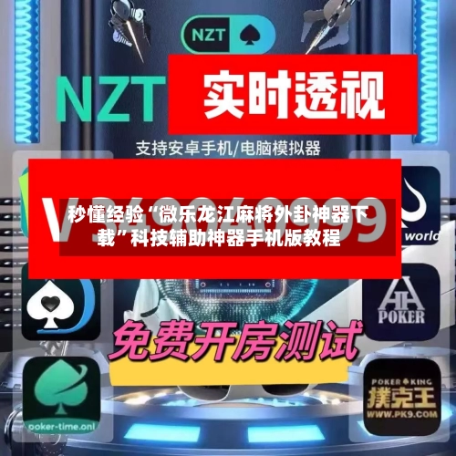 秒懂经验“微乐龙江麻将外卦神器下载”科技辅助神器手机版教程-第2张图片