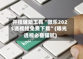 开挂辅助工具“微乐2025透视挂免费下载”(曝光透视必备猫腻)-第1张图片